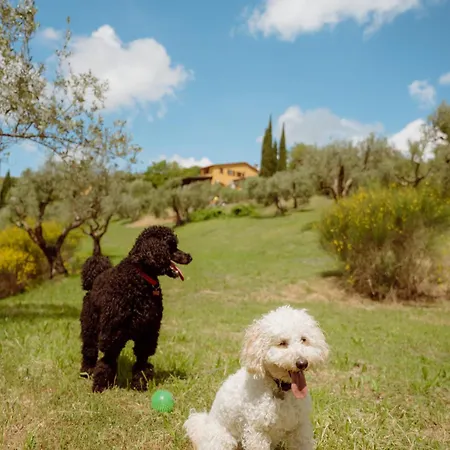 San Felicissimo Vakantieboerderij *
