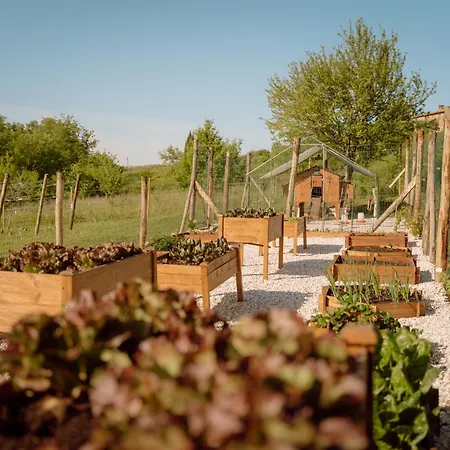 בית חווה San Felicissimo *