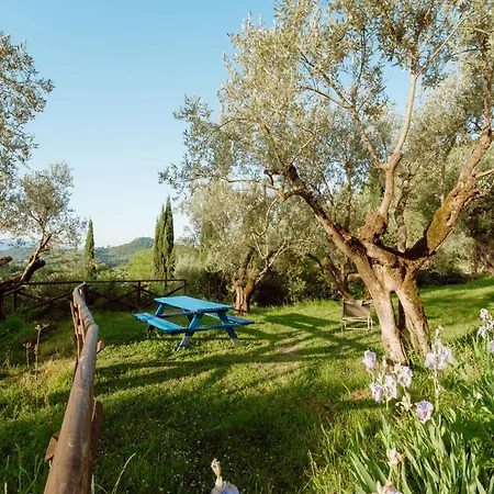 Vakantieboerderij San Felicissimo