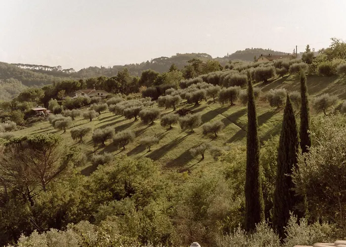 Farm stay San Felicissimo *