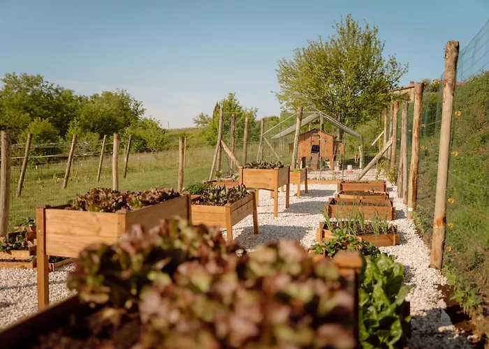 Farm stay San Felicissimo *