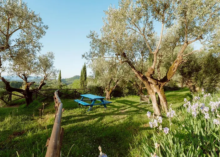 Farm stay San Felicissimo